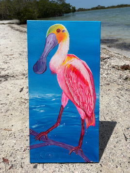 Roseate Spoonbill Canvas Painting