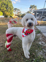 Holiday Spiral Creative Groom Webinar