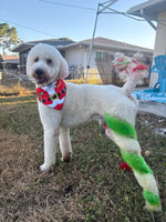 Holiday Spiral Creative Groom Webinar