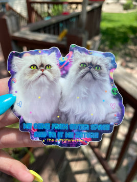 Space Cats Sticker