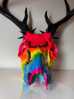 Rainbow Deer Skull