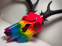 Rainbow Deer Skull