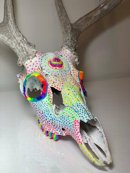 Hand painted Whitetail Deer Skull