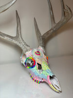 Hand painted Whitetail Deer Skull
